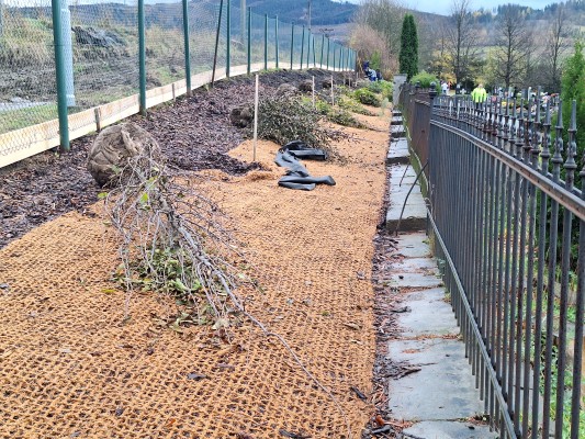 Žáci ze ZŠ Jeseník pomáhali s výsadbou habrů