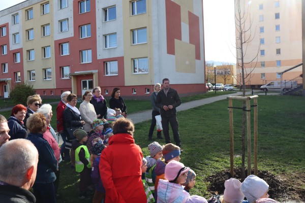 Výsadba na Tyršově ulici