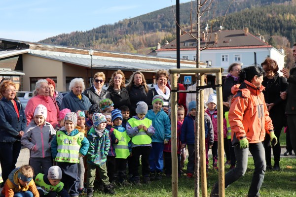 Výsadba na Tyršově ulici