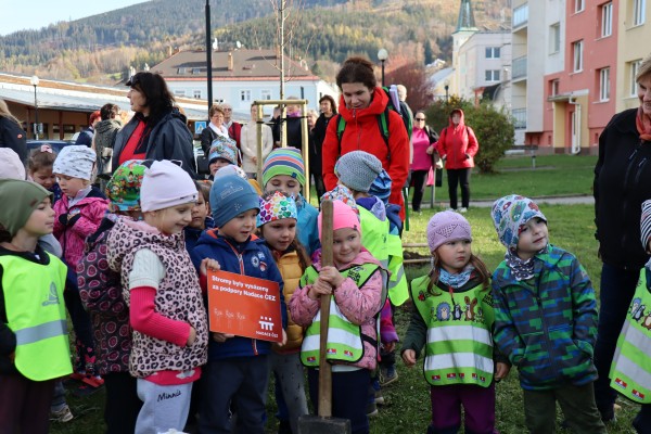 Výsadba na Tyršově ulici