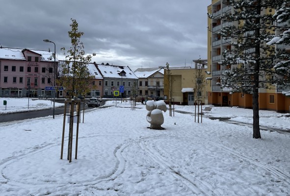 Výsadba stromů na ul. Poštovní