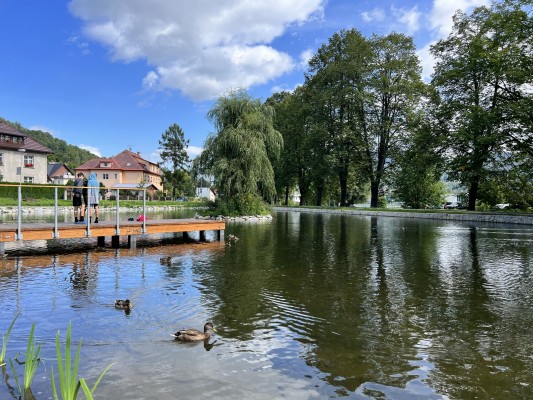 Rybníček na ul. Denisova