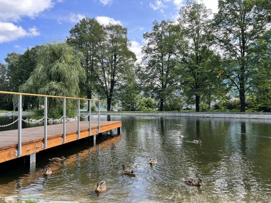 Komplexní oprava rybníčku se podařila