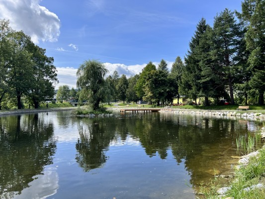 Komplexní oprava rybníčku se podařila