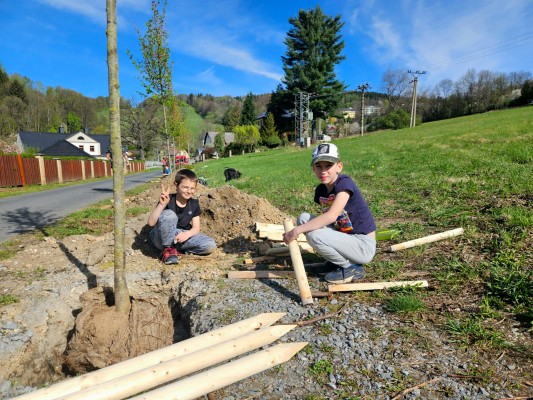 Den Země jsme v Jeseníku oslavili výsadbou lip